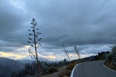 PXL_20201111_164537480